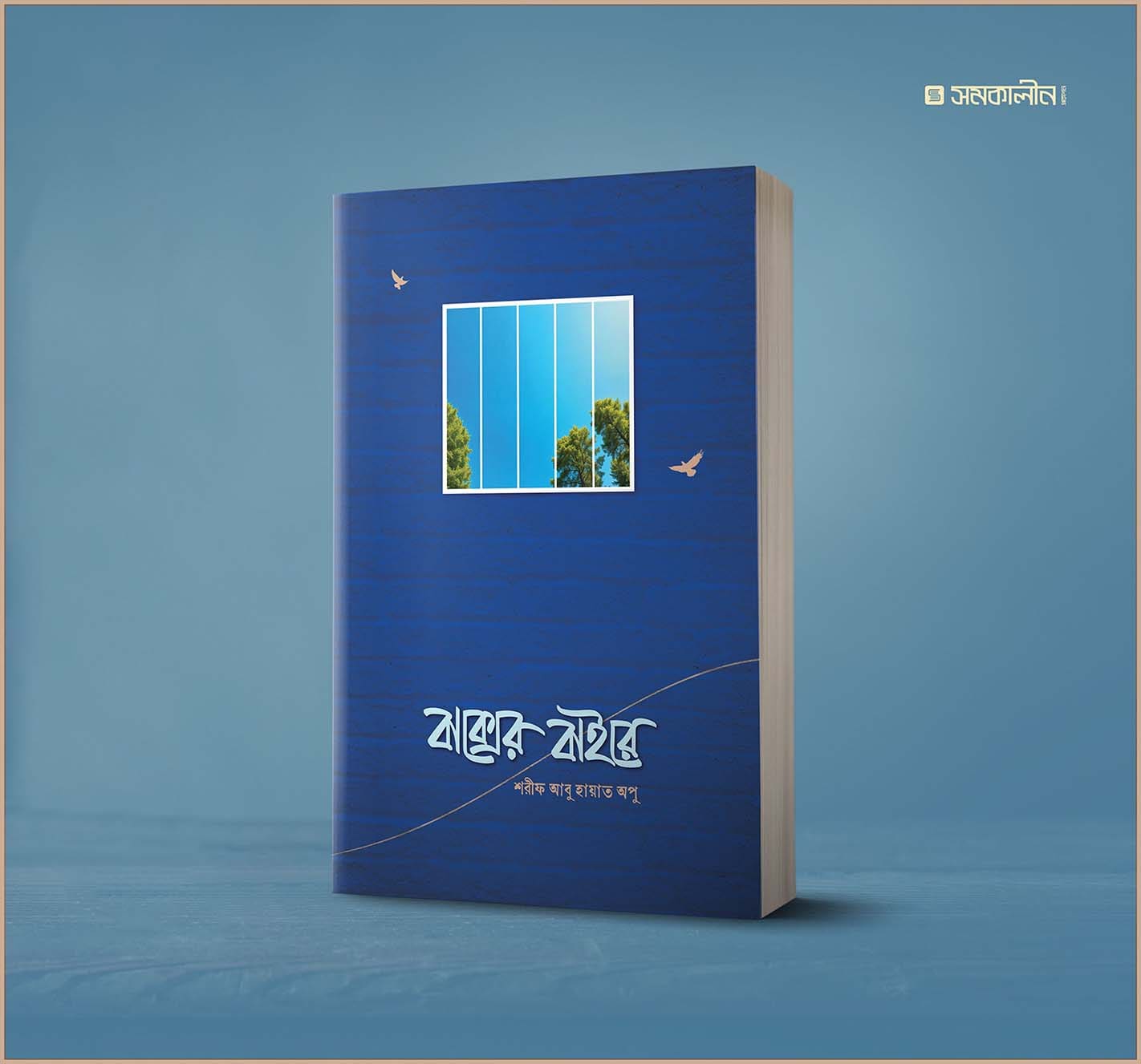 বাক্সের বাইরে